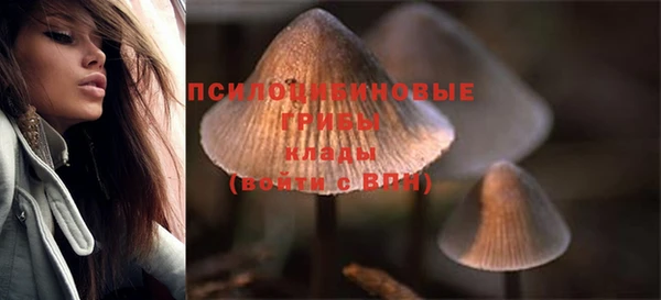 сатива Лагань