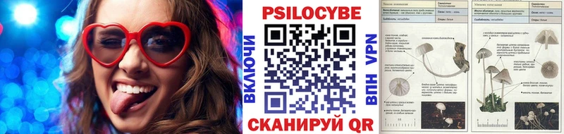 Галлюциногенные грибы MAGIC MUSHROOMS Суровикино