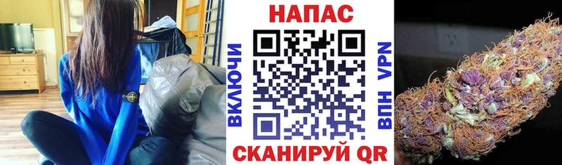 Каннабис OG Kush  Суровикино 